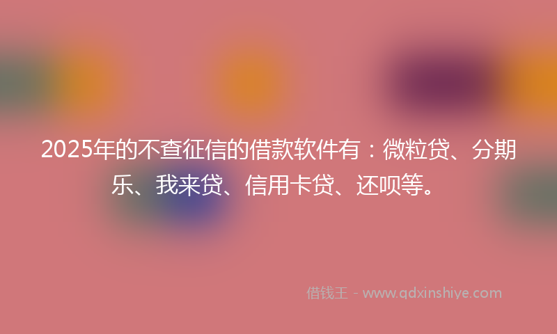 2025年的不查征信的借款软件有：微粒贷、分期乐、我来贷、信用卡贷、还呗等。