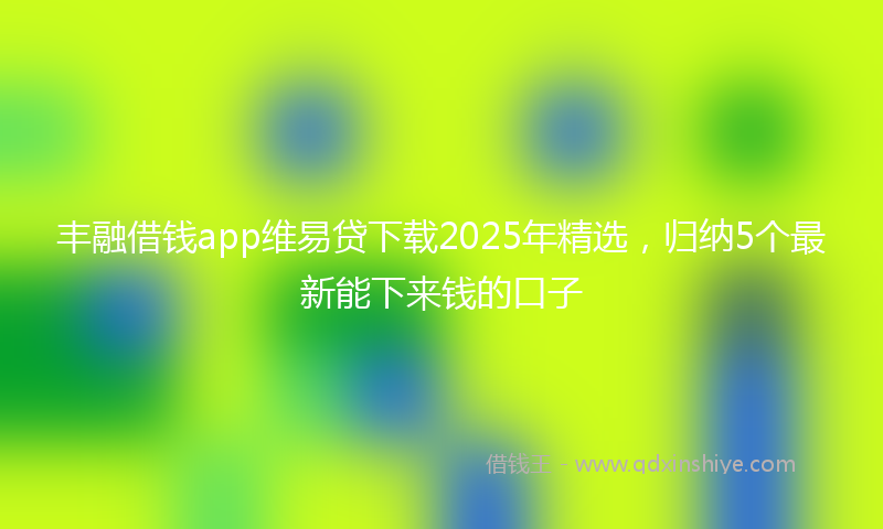 丰融借钱app维易贷下载2025年精选，归纳5个最新能下来钱的口子