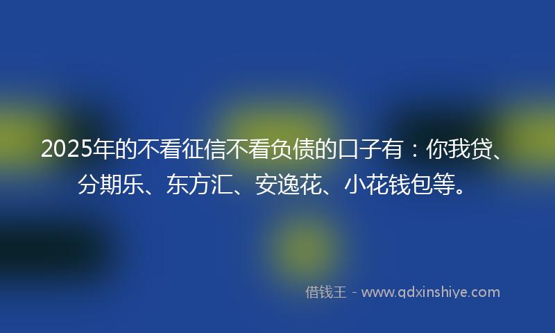 2025年的不看征信不看负债的口子有：你我贷、分期乐、东方汇、安逸花、小花钱包等。