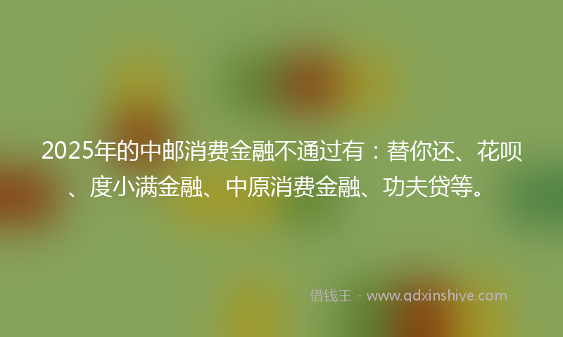 2025年的中邮消费金融不通过有：替你还、花呗、度小满金融、中原消费金融、功夫贷等。