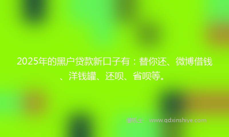 2025年的黑户贷款新口子有：替你还、微博借钱、洋钱罐、还呗、省呗等。