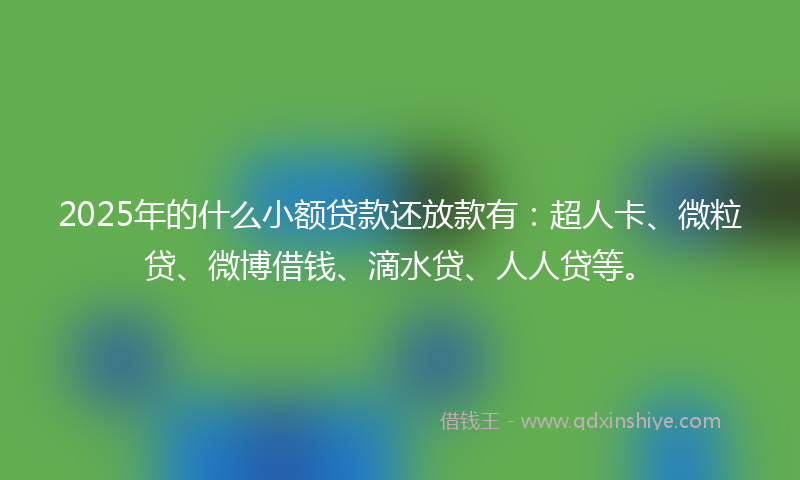 2025年的什么小额贷款还放款有：超人卡、微粒贷、微博借钱、滴水贷、人人贷等。