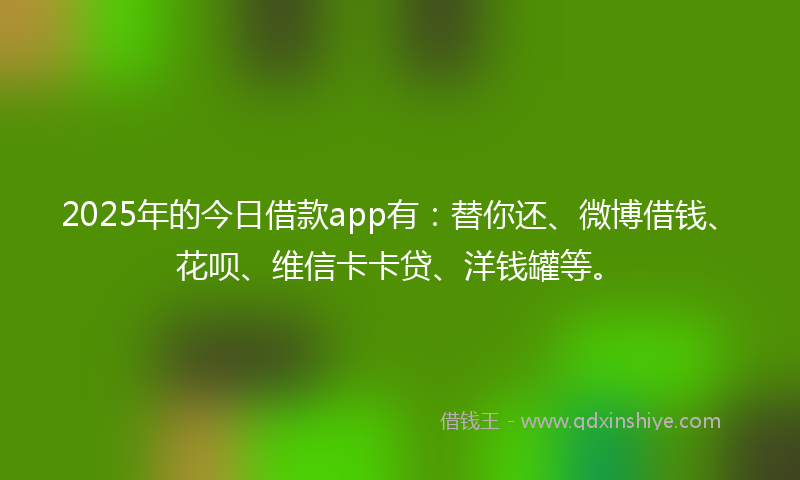 2025年的今日借款app有：替你还、微博借钱、花呗、维信卡卡贷、洋钱罐等。