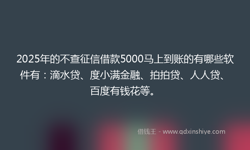 2025年的不查征信借款5000马上到账的有哪些软件有：滴水贷、度小满金融、拍拍贷、人人贷、百度有钱花等。