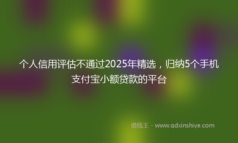 个人信用评估不通过2025年精选，归纳5个手机支付宝小额贷款的平台