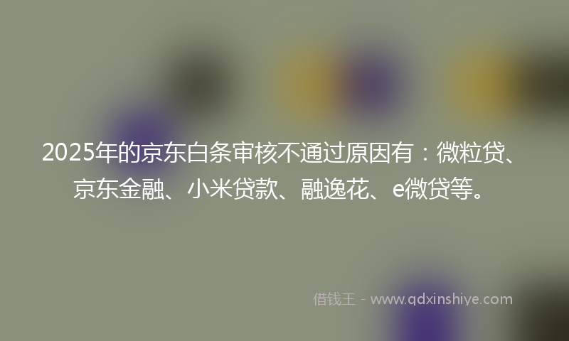 2025年的京东白条审核不通过原因有：微粒贷、京东金融、小米贷款、融逸花、e微贷等。