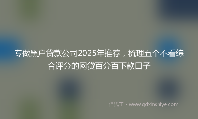 专做黑户贷款公司2025年推荐，梳理五个不看综合评分的网贷百分百下款口子