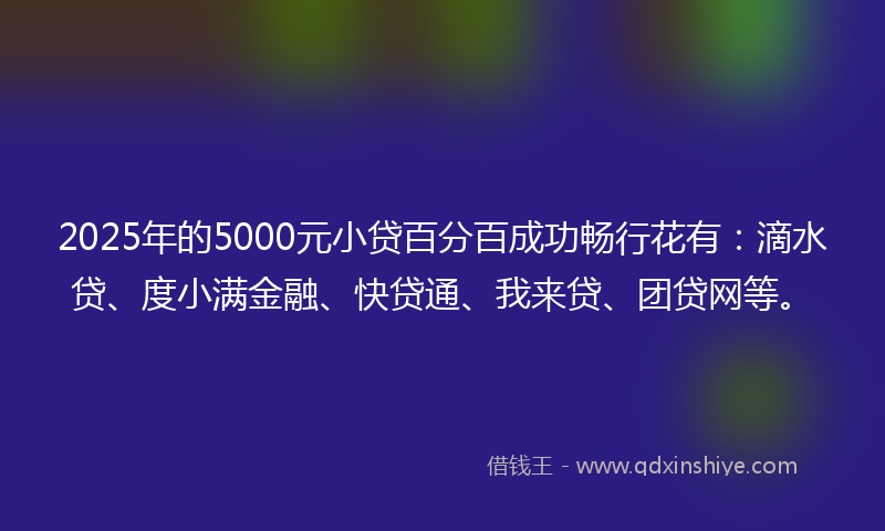 2025年的5000元小贷百分百成功畅行花有：滴水贷、度小满金融、快贷通、我来贷、团贷网等。