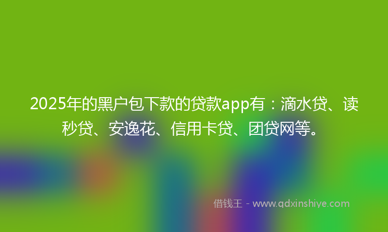 2025年的黑户包下款的贷款app有：滴水贷、读秒贷、安逸花、信用卡贷、团贷网等。