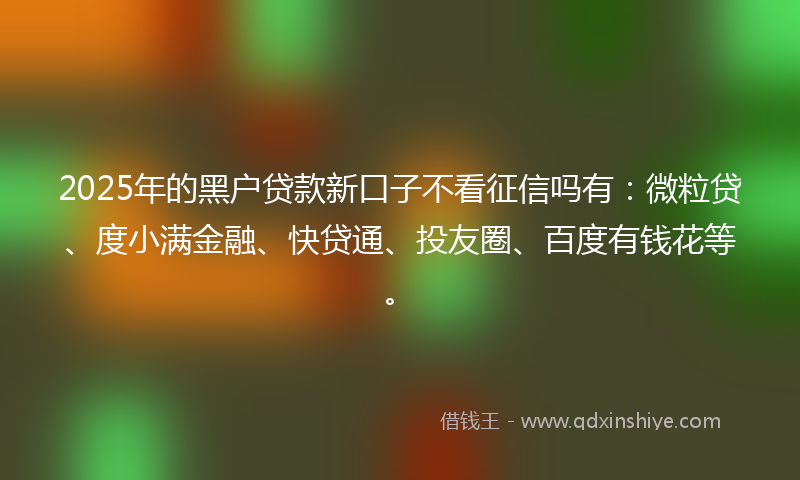 2025年的黑户贷款新口子不看征信吗有：微粒贷、度小满金融、快贷通、投友圈、百度有钱花等。