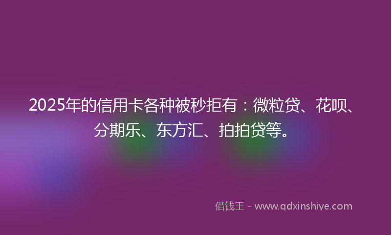2025年的信用卡各种被秒拒有:微粒贷、花呗、分期乐、东方汇、拍拍贷等。