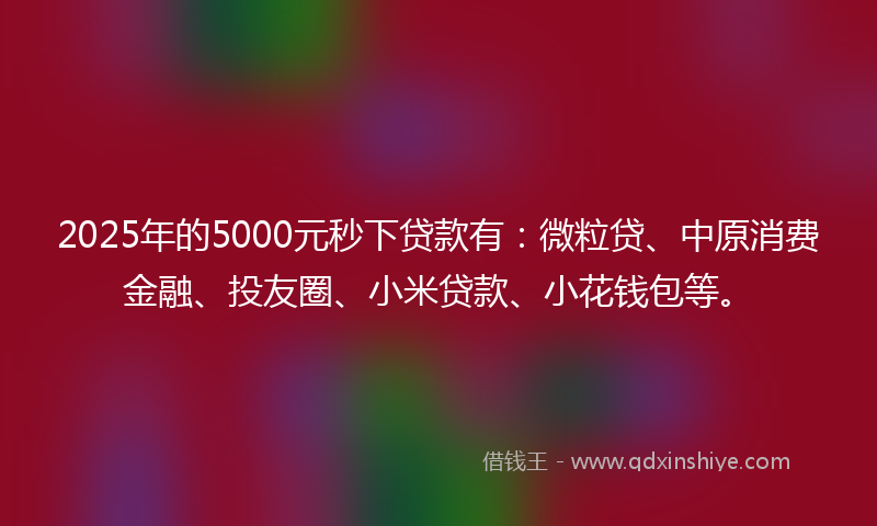 2025年的5000元秒下贷款有：微粒贷、中原消费金融、投友圈、小米贷款、小花钱包等。