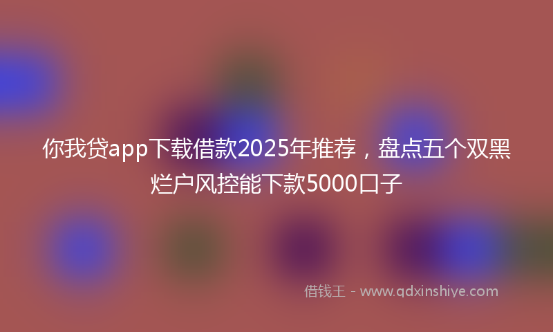 你我贷app下载借款2025年推荐，盘点五个双黑烂户风控能下款5000口子