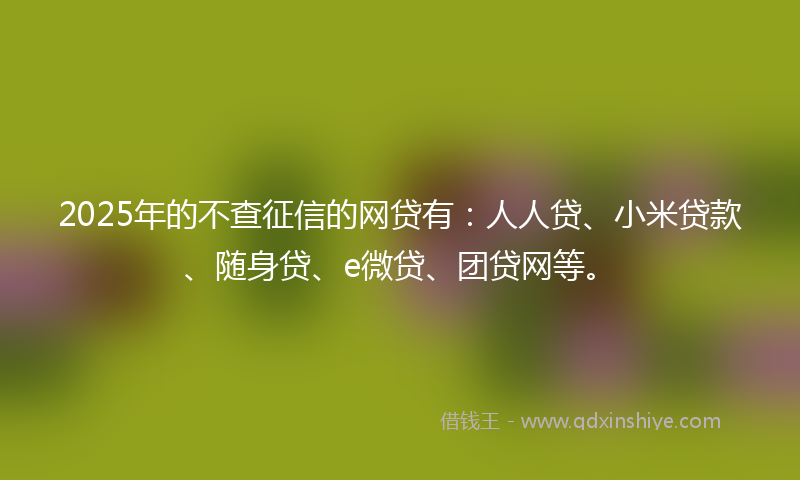 2025年的不查征信的网贷有：人人贷、小米贷款、随身贷、e微贷、团贷网等。