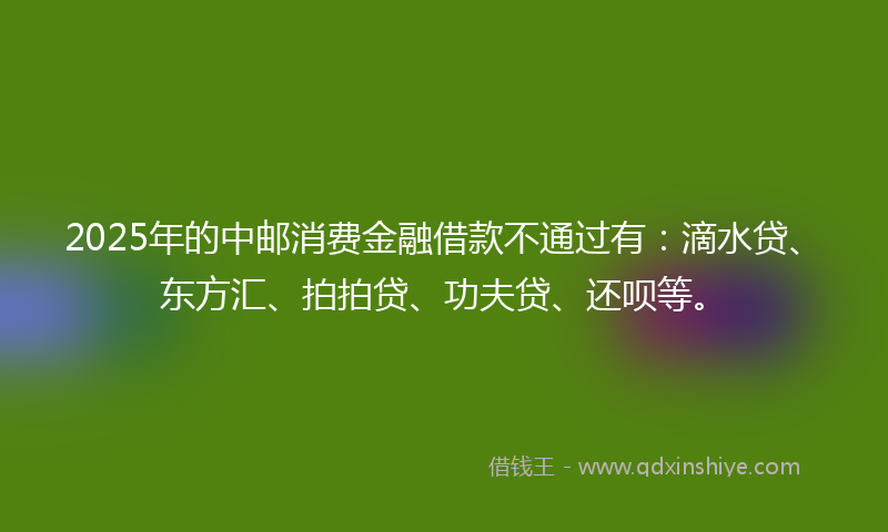 2025年的中邮消费金融借款不通过有：滴水贷、东方汇、拍拍贷、功夫贷、还呗等。