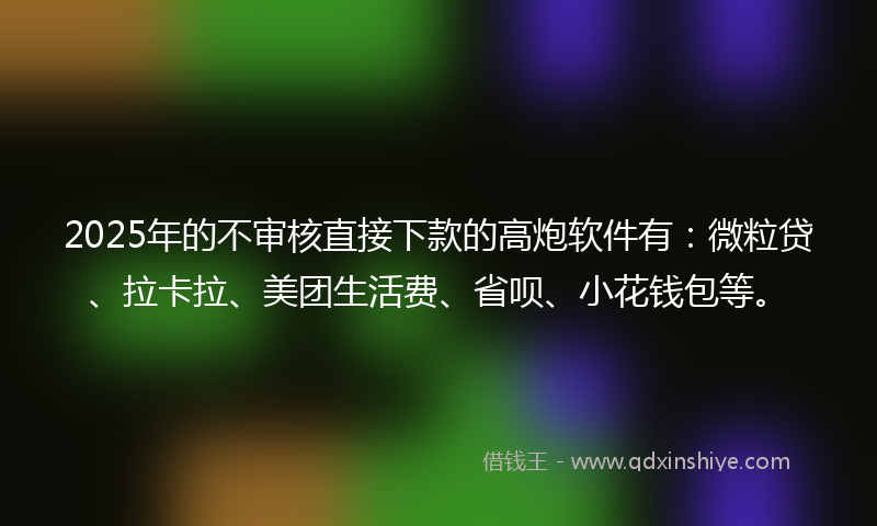 2025年的不审核直接下款的高炮软件有：微粒贷、拉卡拉、美团生活费、省呗、小花钱包等。