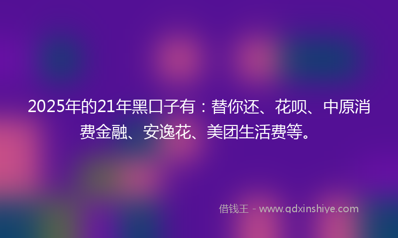 2025年的21年黑口子有：替你还、花呗、中原消费金融、安逸花、美团生活费等。