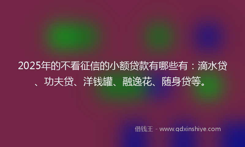2025年的不看征信的小额贷款有哪些有：滴水贷、功夫贷、洋钱罐、融逸花、随身贷等。