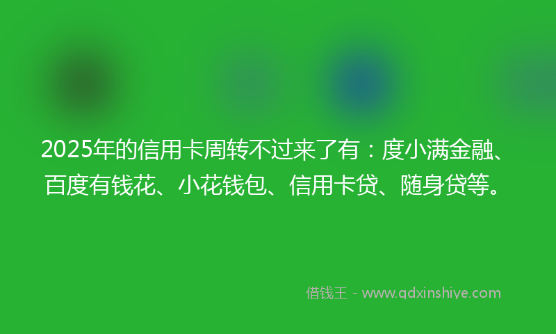 2025年的信用卡周转不过来了有：度小满金融、百度有钱花、小花钱包、信用卡贷、随身贷等。