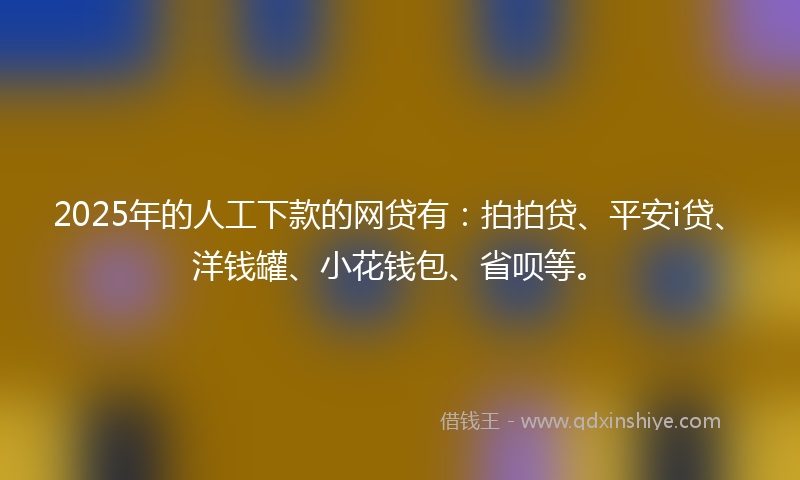 2025年的人工下款的网贷有：拍拍贷、平安i贷、洋钱罐、小花钱包、省呗等。