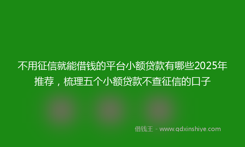 不用征信就能借钱的平台小额贷款有哪些2025年推荐，梳理五个小额贷款不查征信的口子