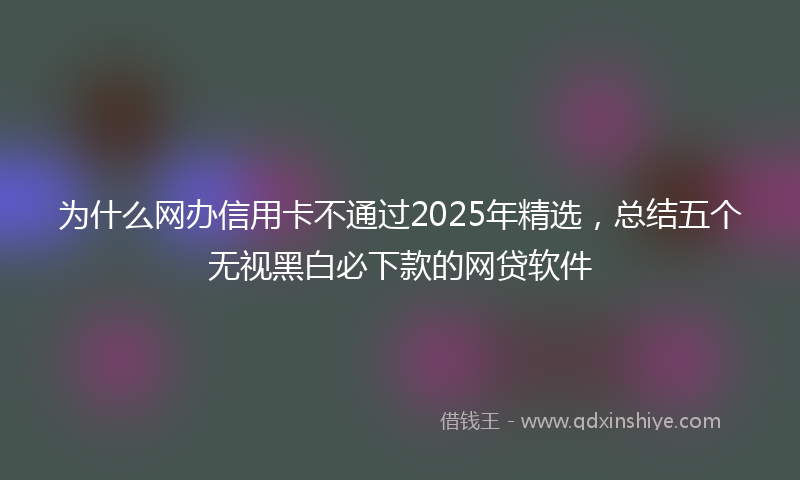 为什么网办信用卡不通过2025年精选，总结五个无视黑白必下款的网贷软件