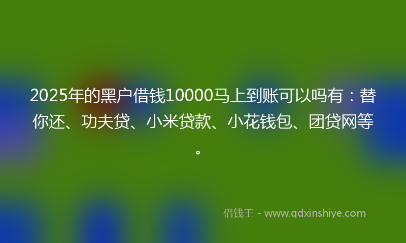 2025年的黑户借钱10000马上到账可以吗有：替你还、功夫贷、小米贷款、小花钱包、团贷网等。