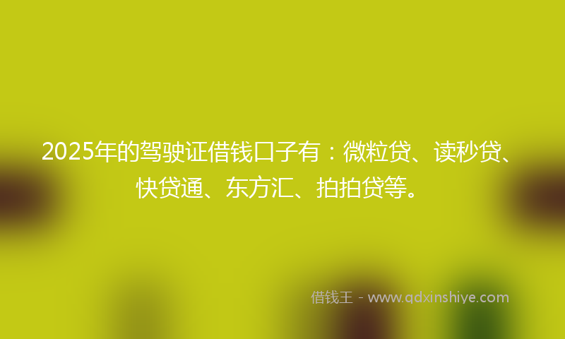 2025年的驾驶证借钱口子有：微粒贷、读秒贷、快贷通、东方汇、拍拍贷等。