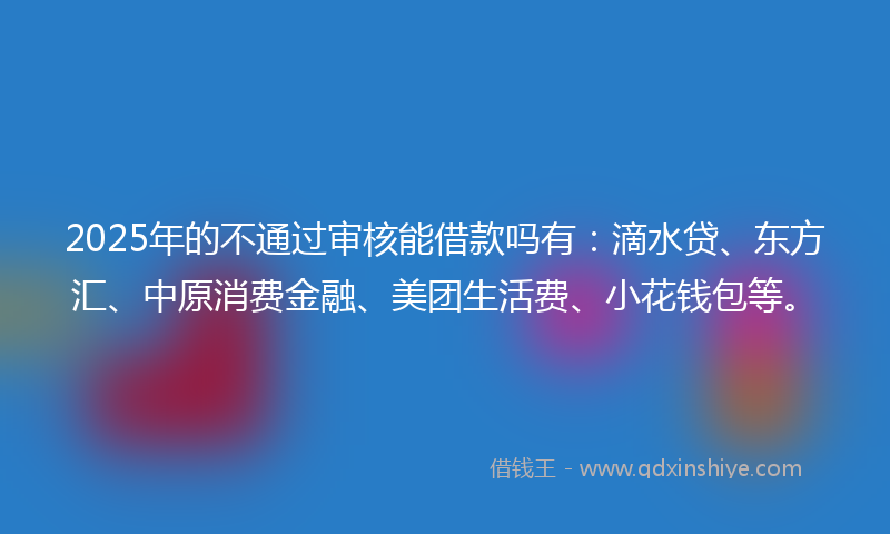 2025年的不通过审核能借款吗有：滴水贷、东方汇、中原消费金融、美团生活费、小花钱包等。