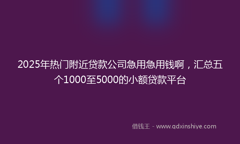 2025年热门附近贷款公司急用急用钱啊，汇总五个1000至5000的小额贷款平台