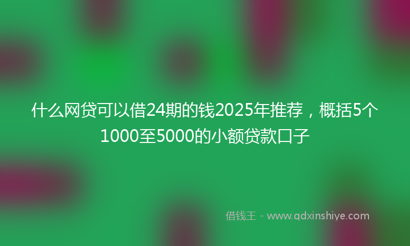 什么网贷可以借24期的钱2025年推荐，概括5个1000至5000的小额贷款口子