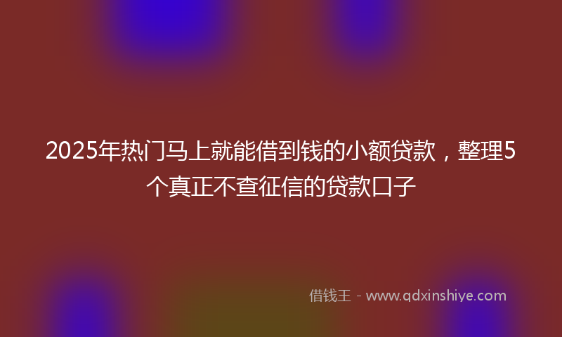 2025年热门马上就能借到钱的小额贷款，整理5个真正不查征信的贷款口子