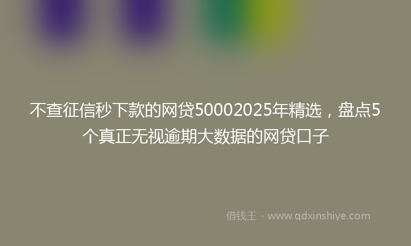 不查征信秒下款的网贷50002025年精选，盘点5个真正无视逾期大数据的网贷口子