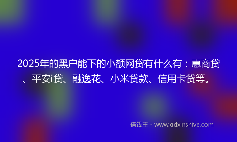 2025年的黑户能下的小额网贷有什么有：惠商贷、平安i贷、融逸花、小米贷款、信用卡贷等。