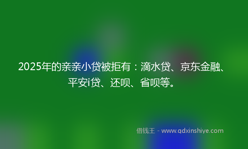 2025年的亲亲小贷被拒有：滴水贷、京东金融、平安i贷、还呗、省呗等。