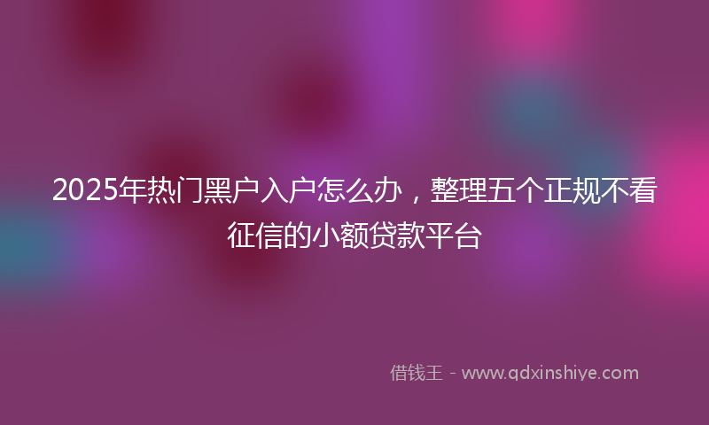2025年热门黑户入户怎么办，整理五个正规不看征信的小额贷款平台