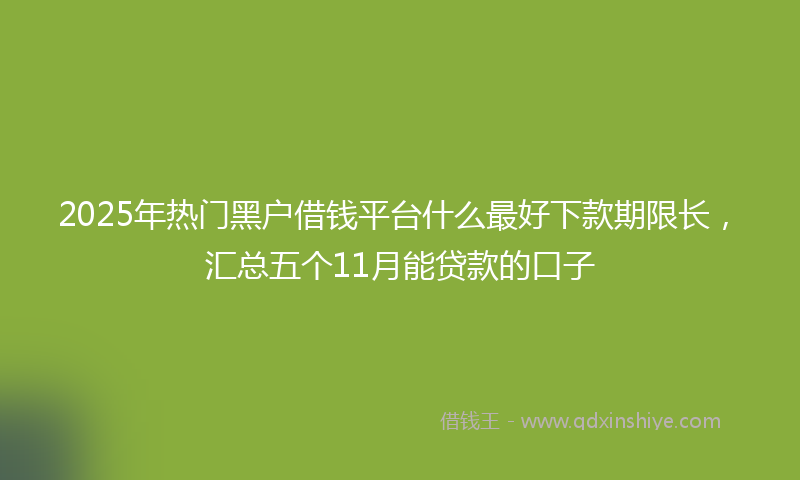 2025年热门黑户借钱平台什么最好下款期限长，汇总五个11月能贷款的口子
