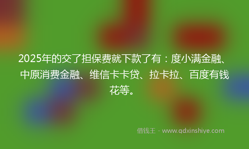 2025年的交了担保费就下款了有：度小满金融、中原消费金融、维信卡卡贷、拉卡拉、百度有钱花等。