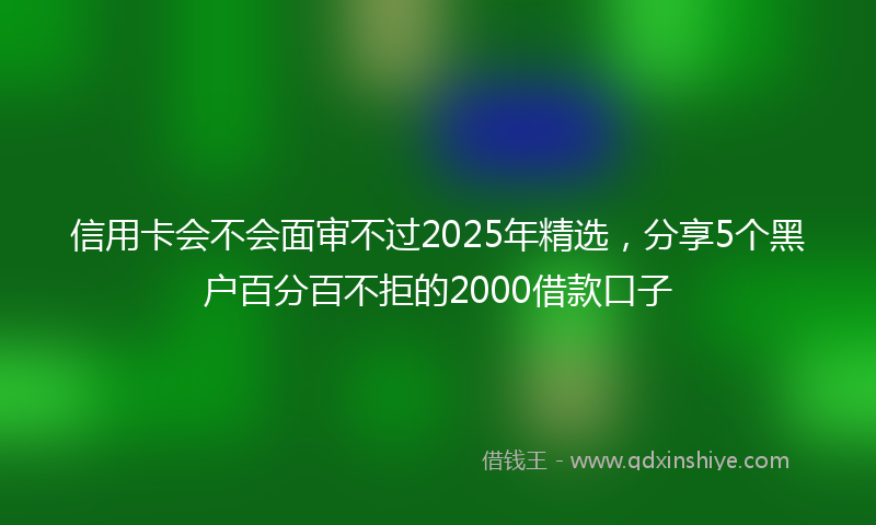 信用卡会不会面审不过2025年精选，分享5个黑户百分百不拒的2000借款口子