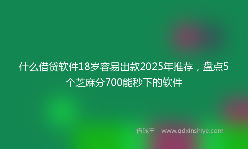 什么借贷软件18岁容易出款2025年推荐，盘点5个芝麻分700能秒下的软件