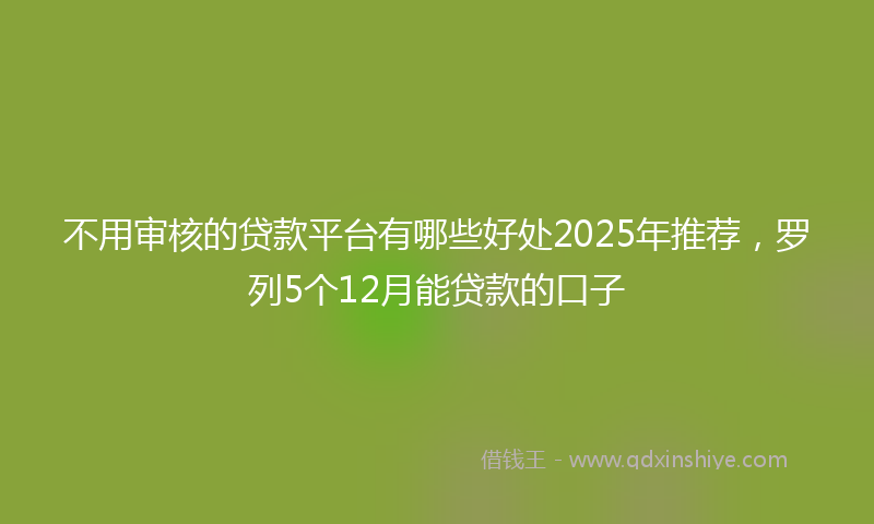 不用审核的贷款平台有哪些好处2025年推荐，罗列5个12月能贷款的口子