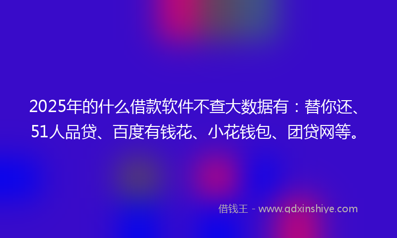 2025年的什么借款软件不查大数据有：替你还、51人品贷、百度有钱花、小花钱包、团贷网等。