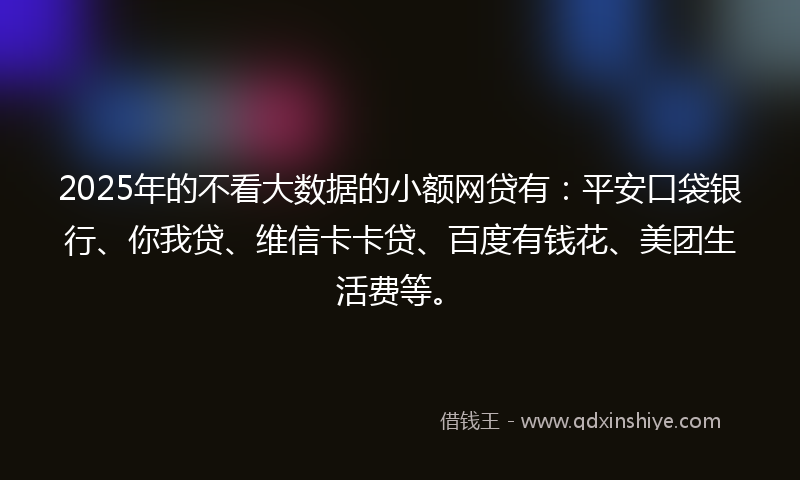 2025年的不看大数据的小额网贷有：平安口袋银行、你我贷、维信卡卡贷、百度有钱花、美团生活费等。