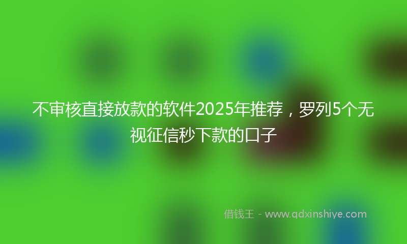 不审核直接放款的软件2025年推荐，罗列5个无视征信秒下款的口子