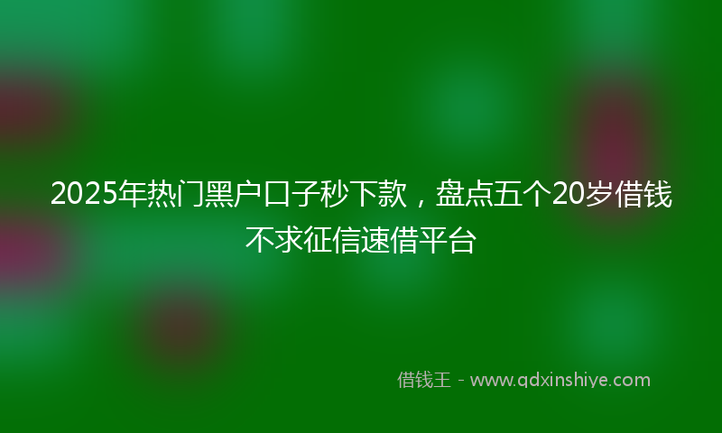 2025年热门黑户口子秒下款，盘点五个20岁借钱不求征信速借平台
