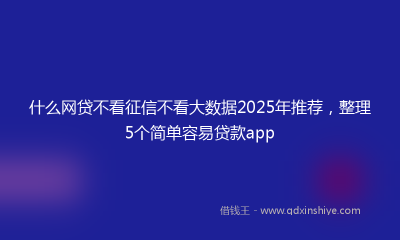 什么网贷不看征信不看大数据2025年推荐，整理5个简单容易贷款app