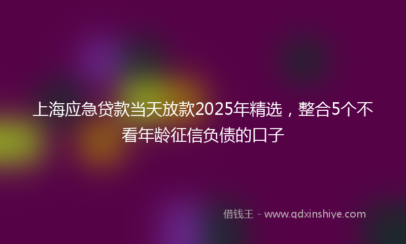 上海应急贷款当天放款2025年精选，整合5个不看年龄征信负债的口子