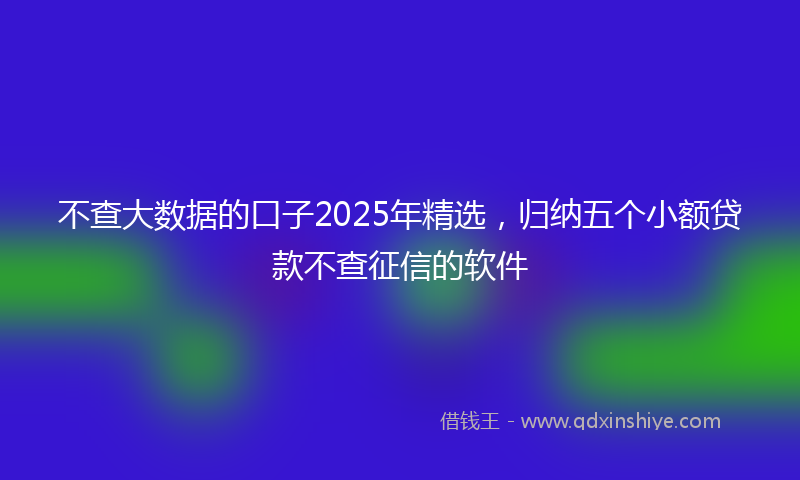 不查大数据的口子2025年精选，归纳五个小额贷款不查征信的软件