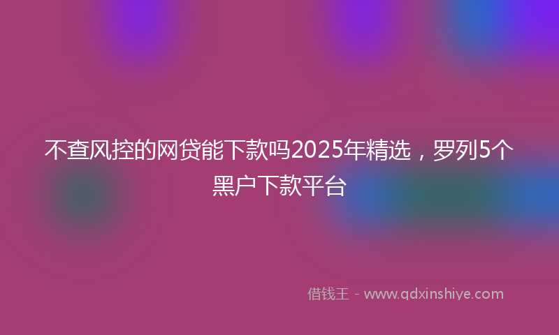 不查风控的网贷能下款吗2025年精选，罗列5个黑户下款平台