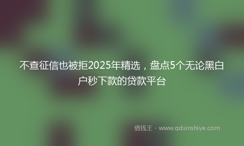 不查征信也被拒2025年精选，盘点5个无论黑白户秒下款的贷款平台
